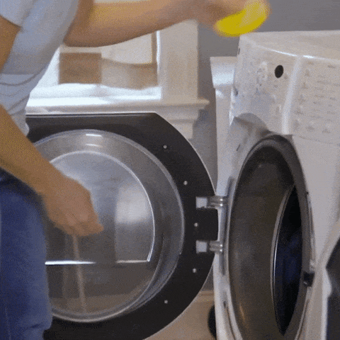 Accessoires Maison Attrape-Poils de Lavage La Maison des Housses