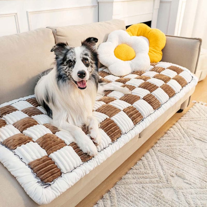 Chien couché sur un tapis douillet à carreaux marron et blanc, posé sur un canapé